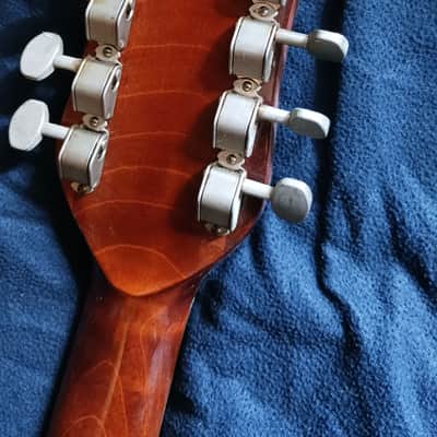 Hofner 492 E 12 string 1967. (Mahogany) image 14