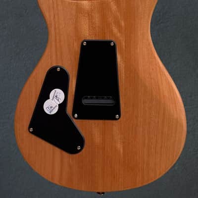 Paul Reed Smith SE Custom 24 '22 image 4