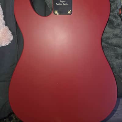 PAYNE Classic series TL 2025 - Matte image 5