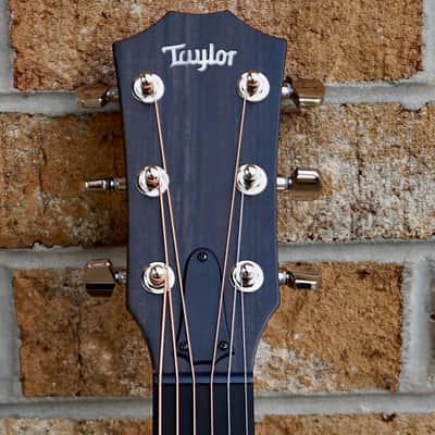 Taylor 414ce-R LTD Lily and Vine image 3