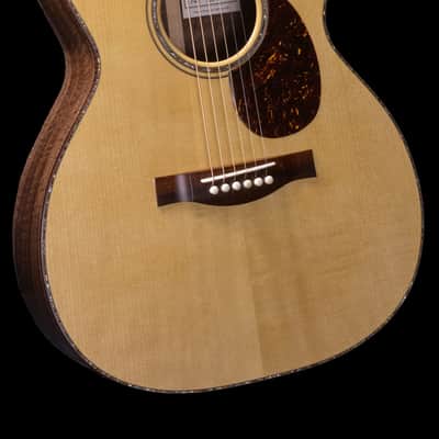 Santa Cruz Snakewood century block binding and old growth Walnut body image 1