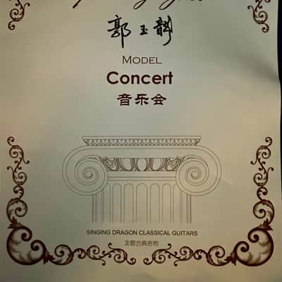 Yulong Guo Ziricote Concert 2016 #14 image 3