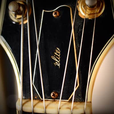 Fender D'Aquisto Elite Natural 1984 image 12