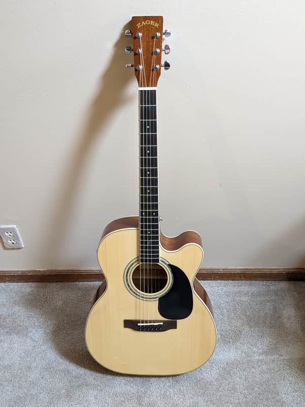 Zager EZ play acoustic guitar image 1