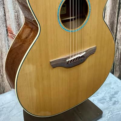 Takamine TSF40C NEX W/ Softshell Case image 1