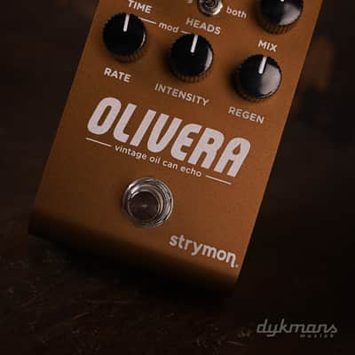 Strymon Olivera Vintage Oil Can Echo image 2
