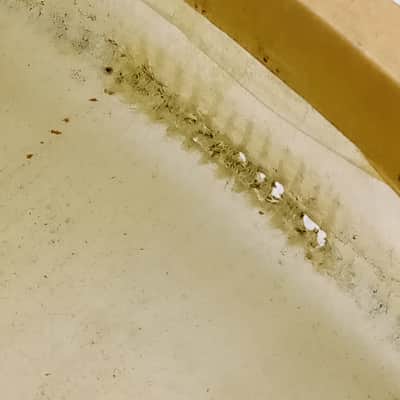Gretsch 14" Resonant Calf Skin Snare Drum Tom/Parade/Concert Head Vintage 30s US image 8