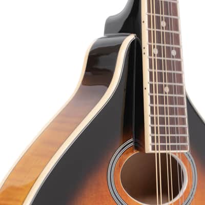 Gold Tone GM-50+ A-Style Solid Spruce Top Maple Neck 8-String Mandolin w/Hard Case & Pickup image 6