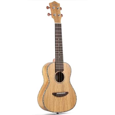 Zebrawood Body 23 inch Concert Ukulele with Ukulele Set Tuner Strap Nylon Strings image 4