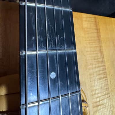 Optek Fretlight 400 with Fender Hard Case image 17