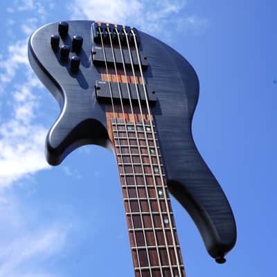 Schecter DIAMOND SERIES Charles Berthoud CB-5 See Thru Black Satin 5-String Electric Bass Guitar (2025) image 9