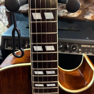 Eastman AR175CE, AR371CE (2014) image 15