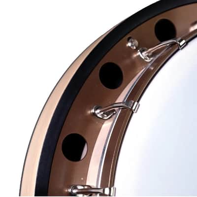 Deering Goodtime Two 5-String Resonator Banjo image 11