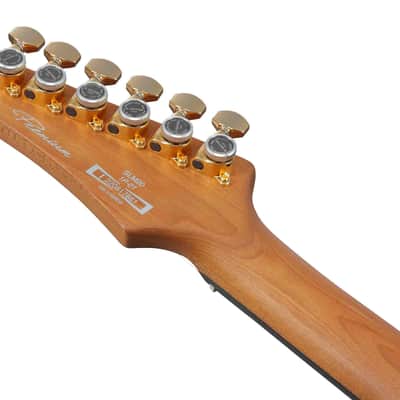 Ibanez KRYS10 Scott LePage Signature E-Guitar 6-String + Gig Bag image 10
