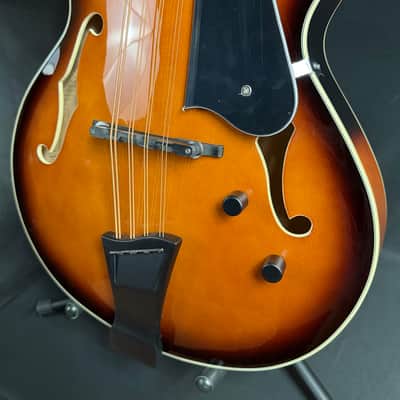Gold Tone Mandocello 8-String Acoustic-Electric Vintage Sunburst w/ Hardshell Case image 8