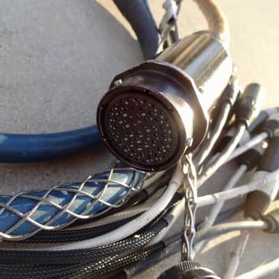 Whirlwind W-2 Fanout 16 Male XLR 2000 Blue image 2