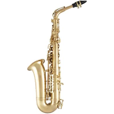 Selmer SAS511 Advanced Eb Alto Saxophone image 4