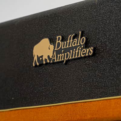 Buffalo Amplifiers BA40 *Rare* Boutique Guitar Combo Amp w/ Dual 6V6, Tube Rectifier,  Built-In Tremolo image 2