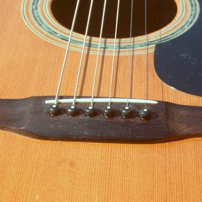 1978 Yairi  YW-600 Coral Rosewood(New Jacaranda ) Body Natural Bargain image 18