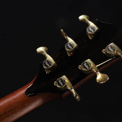 Taylor Builder's Edition 914ce LTD Macassar 039 image 8