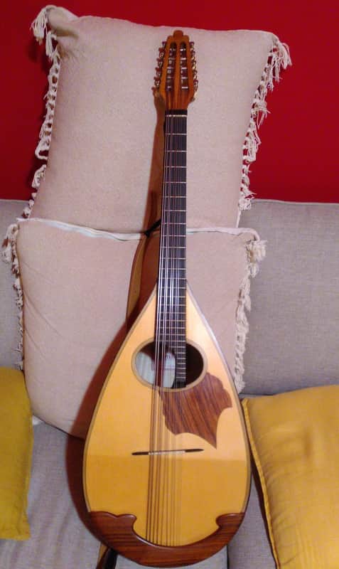Liuto cantabile (mandocello 5 courses) image 1