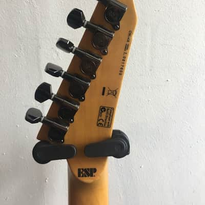 ESP LTD M-200SR Skulls and Roses Electric Guitar | Reverb