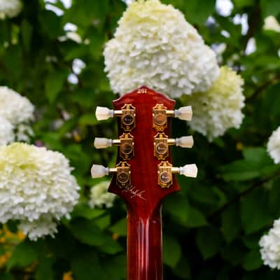 Knaggs Chena Tier 1/Pink Coral/SSC Neck image 6