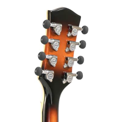 Gold Tone Acoustic Electric Mandocello, Mandolin Cello Hybrid Instrument w/Case image 5
