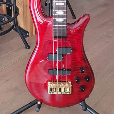 Spector Euro 4LX 2023 - Black Cherry Gloss image 4