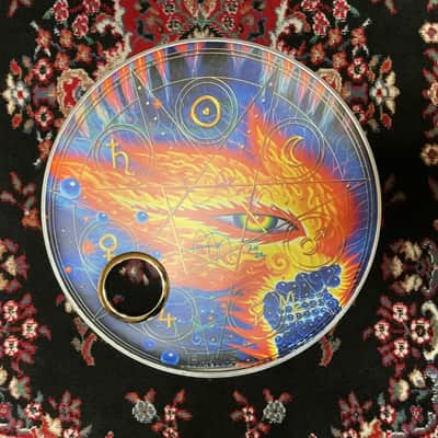 Evans Danny Carey / TOOL 22” Fear Inoculum “Flame” Bass Drum Head w/Gold Mic Port image 6