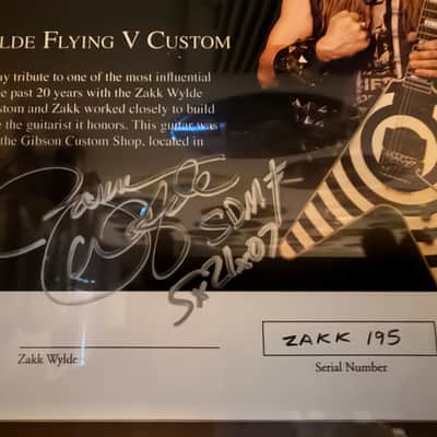 Immagine Gibson Zakk Wylde Custom Flying V 2007 - Bullseye - 18