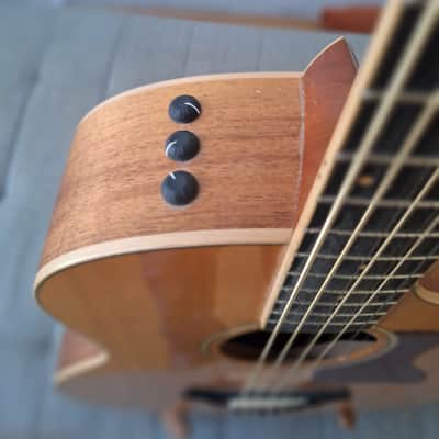 Taylor Baritone-8-FLTD/B Fall Limited 8 2016 - Mat image 5