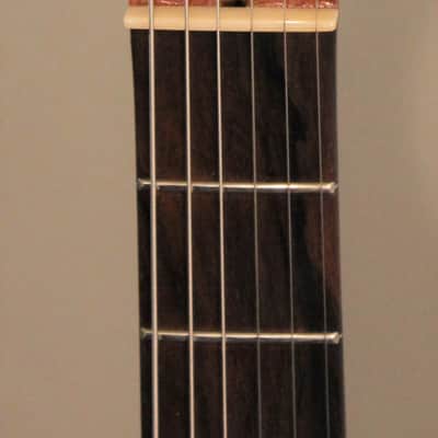 2010 Cardinal Instruments East with Lollar/Supro Lapsteel Pickup and Hard Case, Plays & Sounds GREAT image 7