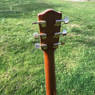 Johnson Archtop Hollowbody Electric Guitar Striped Maple image 6