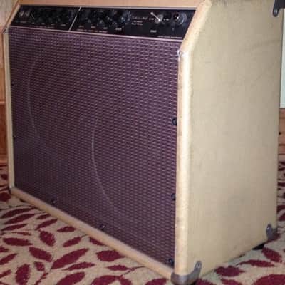 Jim Kelley F.A.C.S. 30/60 2x10 combo 1984 Cream image 3