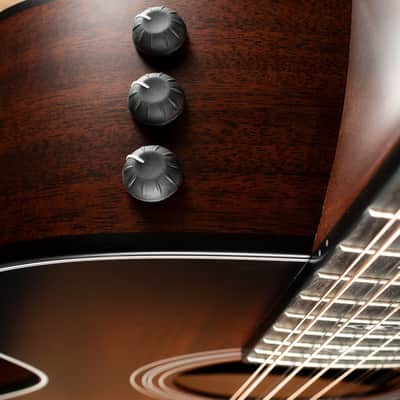Taylor 362ce - Shaded Edge Burst - Free Shipping image 9