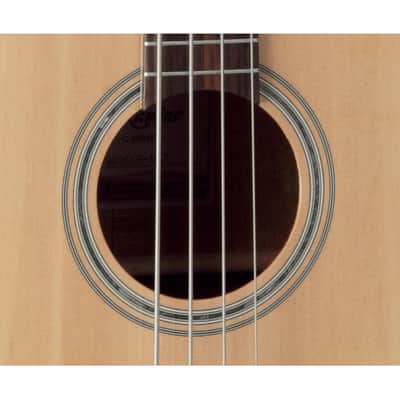 TAKAMINE - BASSE GB30CE image 2