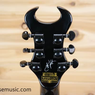 Schecter Synyster Gates Signature Synyster Custom-S - Black with Silver Pinstripes image 14