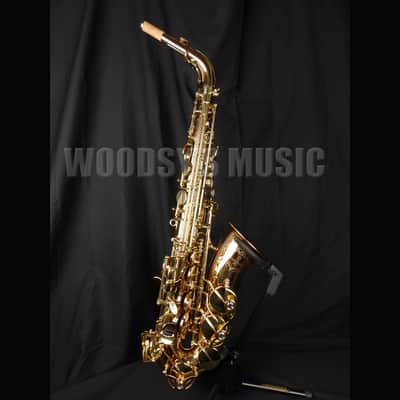 Yanagisawa AWO20 Elite Model Bronze Alto Saxophone image 1