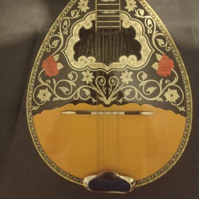 Greek Bouzouki & hardcase & pickup & 300backing track with pdf scores 8 string image 2