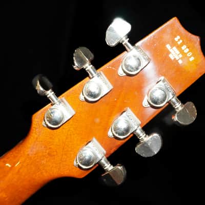 Heritage Custom H-555 2009 - Golden Amber image 9