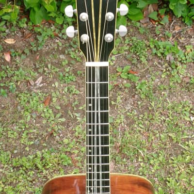 1973 Yairi YW600G Grammer Guitar Style New Jacaranda - Natural+Flight Case image 4