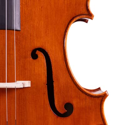Testore Cello 4/4 from One Piece Back – Hand-Made in Romania 2025 #100 image 4