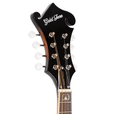 Gold Tone GM-35 F-Style Spruce Top Maple Neck 8-String Mandolin w/Foam Case image 4