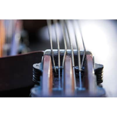 1946 Levin Model 102 12-string Bass Lute natural image 16
