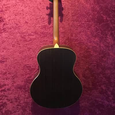 Ozark 3372 Tenor Acoustic Guitar inc hard case image 5