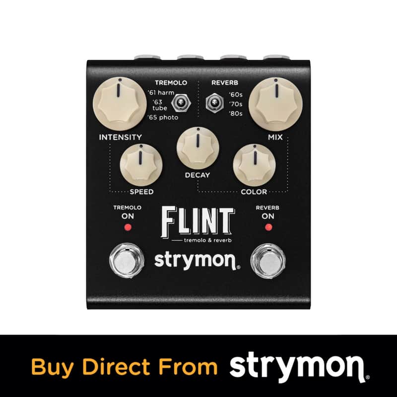 Strymon Flint Next Generation imagen 1