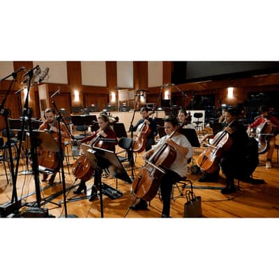 Vienna Symphonic Library Synchron Duality Strings Bundle - Standard Library image 6