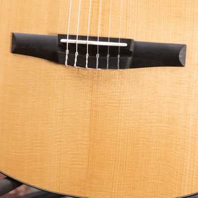 Taylor 212ce-N Plus Nylon Grand Concert Acoustic/Electric Guitar with Aerocase image 15