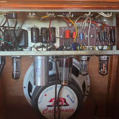DeArmond Rowe Amplifier 10" Combo Super RARE, Tube Driven Tremolo Circuit R5t 1959-1962 - copper image 5
